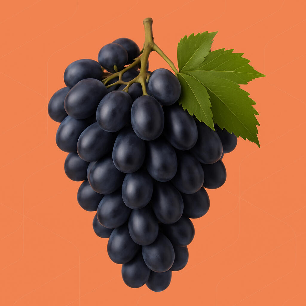 Export quality table grapes Premium Moldova table grapes prepared for wholesale export distribution